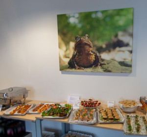 Main image for gallery Eindrücke