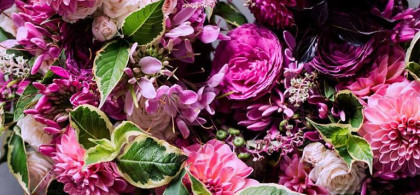 Main image for gallery Blumenvariationen