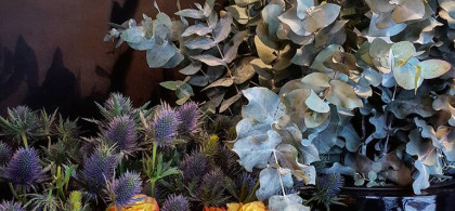 Main image for gallery Blumenvariationen 