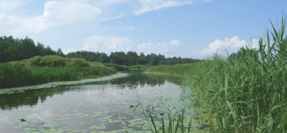 Main image for gallery Umgebung