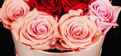 Main image for gallery Blumenboxen