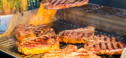 Main image for gallery Barbecue