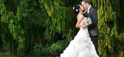 Main image for gallery Hochzeiten 