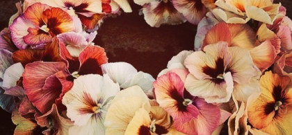 Main image for gallery Floristik