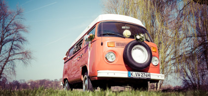 Main image for gallery Kalli 