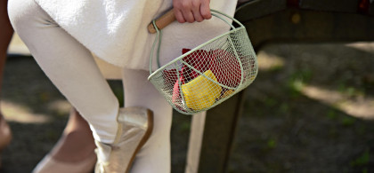 Main image for gallery Bodensee