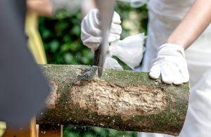 Main image for gallery Eindrücke