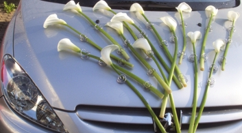 Main image for gallery Eindrücke