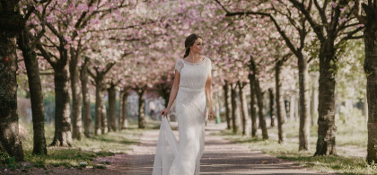 Main image for gallery Dazzling Dreams Collection 