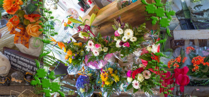 Main image for gallery weitere Impressionen