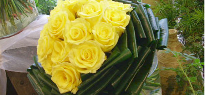 Main image for gallery Eindrücke