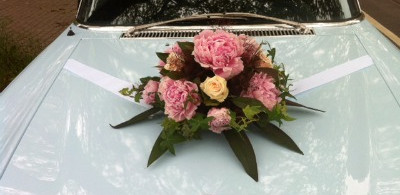 Main image for gallery Eindrücke