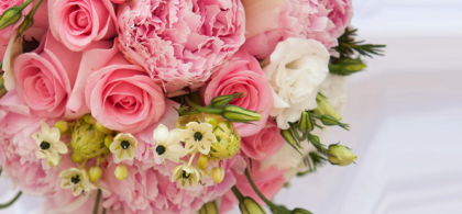 Main image for gallery Eindrücke