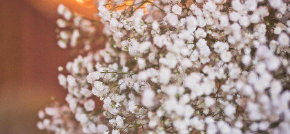 Main image for gallery Wedding Portfolio #2