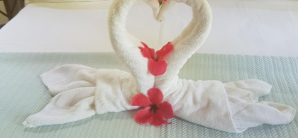 Main image for gallery Auf Jamaica und überall auf der Welt - Honeymoon - da steckt Liebe drinnen!