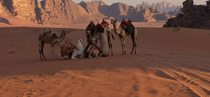 Main image for gallery Jordanien - Wadi Rum und Petra