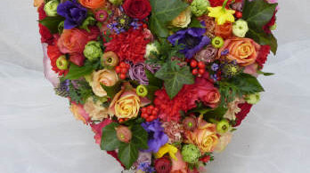 Main image for gallery Eindrücke