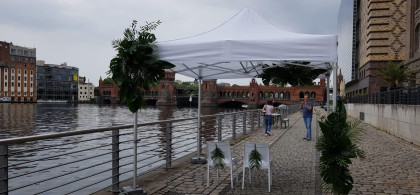 Main image for gallery Traubögen