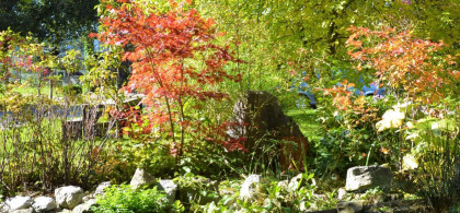 Main image for gallery Park