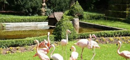 Main image for gallery Weitere Eindrücke 