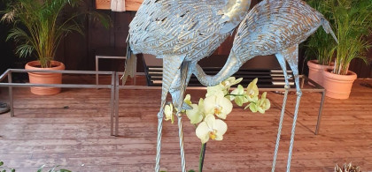 Main image for gallery Exotisch/Jungle 