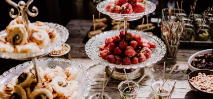 Main image for gallery Dizzle's Caterizzle