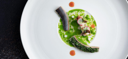 Main image for gallery Unsere Sterneküche - ein Fest für alle Sinne