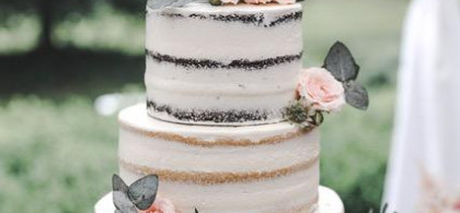 Main image for gallery Semi naked Cakes