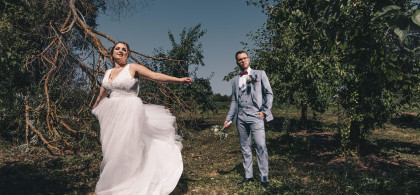 Main image for gallery Galerie