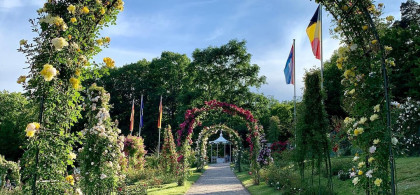 Main image for gallery Impressionen