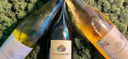 Main image for gallery Impressionen