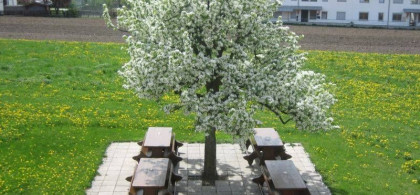 Main image for gallery Impressionen