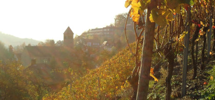 Main image for gallery impressionen