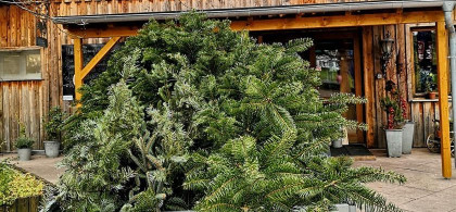 Main image for gallery Impressionen