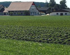 Main image for gallery Innenansicht