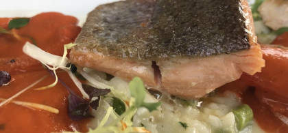 Main image for gallery Kulinarischer Genuß