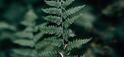 Main image for gallery weitere Impressionen