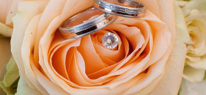 Main image for gallery Galerie