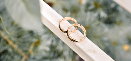 Main image for gallery Details