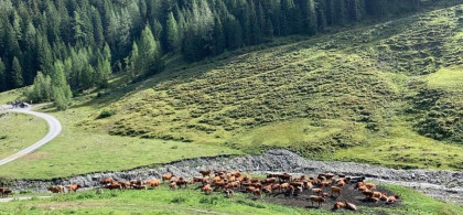 Main image for gallery Umgebung