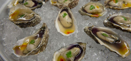 Main image for gallery weitere Impressionen