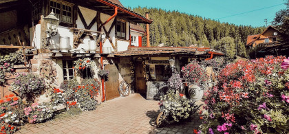 Main image for gallery Eindrücke