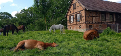 Main image for gallery Eindrücke