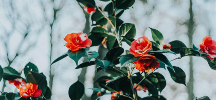 Main image for gallery Weitere Eindrücke