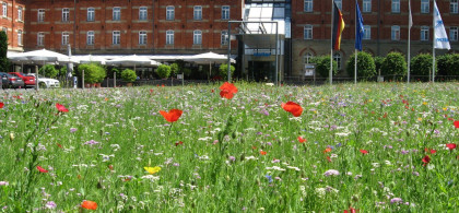 Main image for gallery Eindrücke