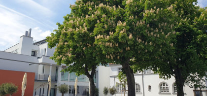 Main image for gallery Eindrücke