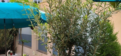 Main image for gallery Weitere Eindrücke