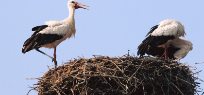 Main image for gallery Weitere Eindrücke