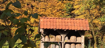 Main image for gallery Bienstock