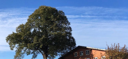 Main image for gallery Weitere Eindrücke